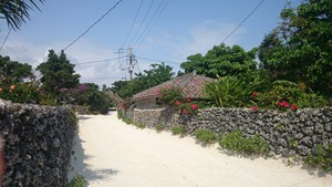 社員研修 IN 石垣島 社員研修 IN 石垣島