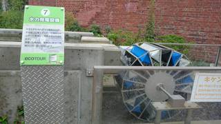 eco eco
