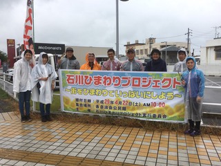 石川ひまわりプロジェクト☆ 石川ひまわりプロジェクト☆