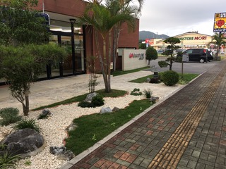 石川ひまわりプロジェクト☆ 石川ひまわりプロジェクト☆