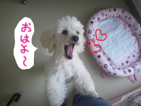 すやすや
