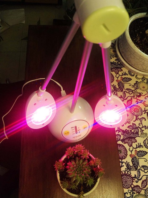 怪しげな光