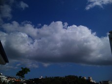 今日のお天気