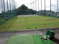 早起きは♪ 2011/11/02 11:24:51