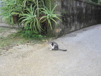 10月22日 水円 October 22 Suien