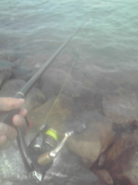 2012年01月28日