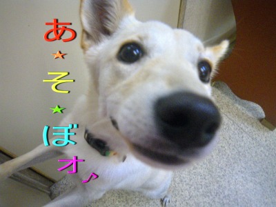 サリーちゃん♪