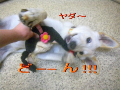 サリーちゃん♪