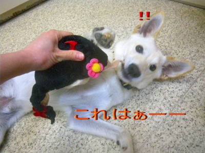 サリーちゃん♪