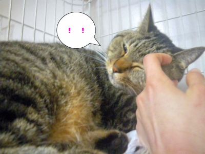 福助ちゃん♪