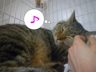 福助ちゃん♪