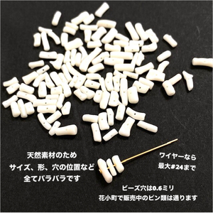◆新入荷◆サンゴチップ白 ◆新入荷◆サンゴチップ白