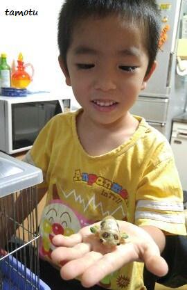 セミの羽化に!大はしゃぎ~♪ セミの羽化に!大はしゃぎ~♪