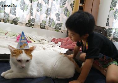 (猫の)頭かくして(君は)尻かくさず♪ (猫の)頭かくして(君は)尻かくさず♪