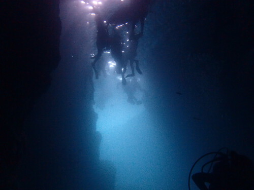 青の洞窟と水納島ダイビング