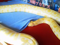 隠れてるつもり！？