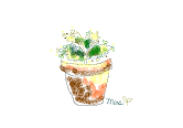 2010年02月20日