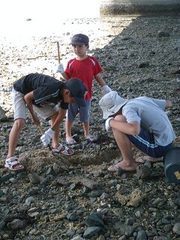 潮干がり(☆o☆) 2008/05/04 11:29:12