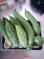 本日の収穫♪ 2008/06/07 10:13:25