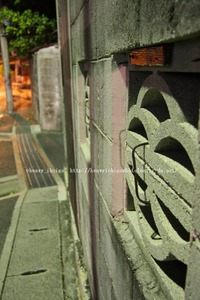 2008.7.13 夜さんぽ