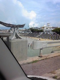奥武島に来てます。 2008/08/10 15:37:34