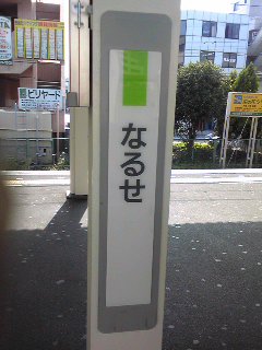 旅行最終日(写真集)