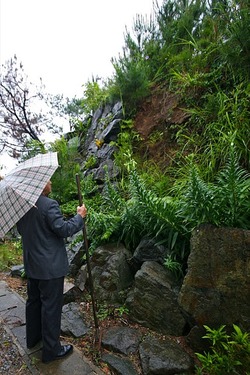 雨の水曜日