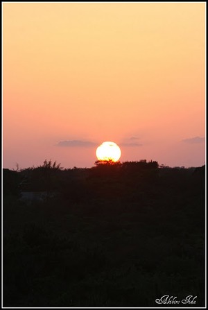 週末・・・!