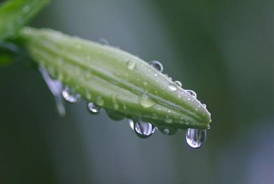 雨の水曜日