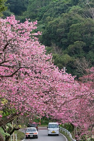 今日から2月