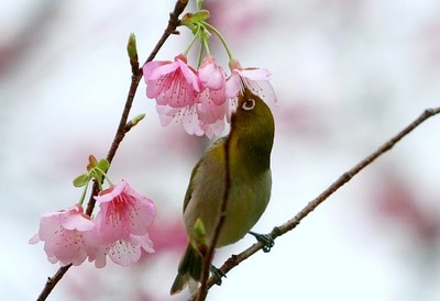 今日から2月