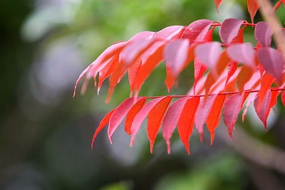 嵐山展望台2