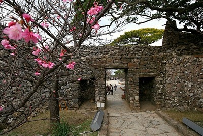 勉強中
