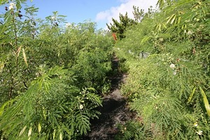 拝啓 国道事務所 様