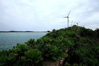 格闘中