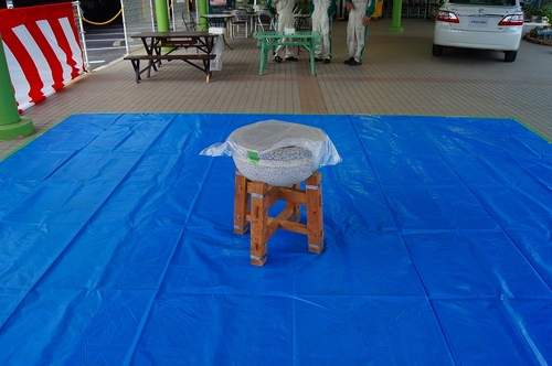 もちつきー最近もちつきシテル?Twitterで生中継ちゅうー