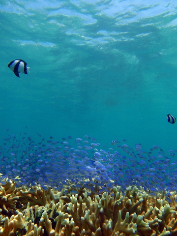 宮古島 海満喫 2012.7.10~12