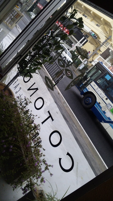 COTONOHA