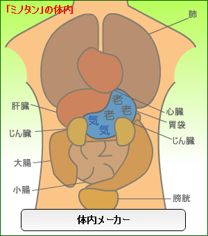 体内メーカー