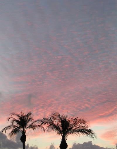 明け方の空