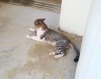 今日のお客様