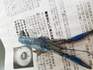マット交換