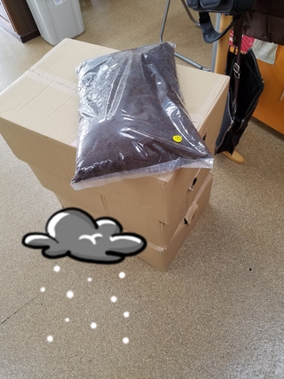 マット交換ほか