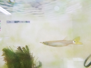 色々と紹介