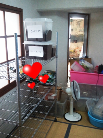 大掃除しました