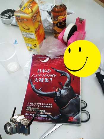 ミーティング&やんばる採集