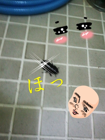 見つかって、ほっともっと