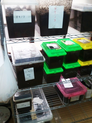 交換完了