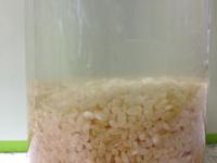 お米でできる酵素ドリンク！？