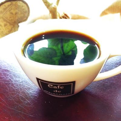 植物とコーヒー 植物とコーヒー
